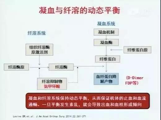 水蛭素，新型冠狀病毒。肺炎