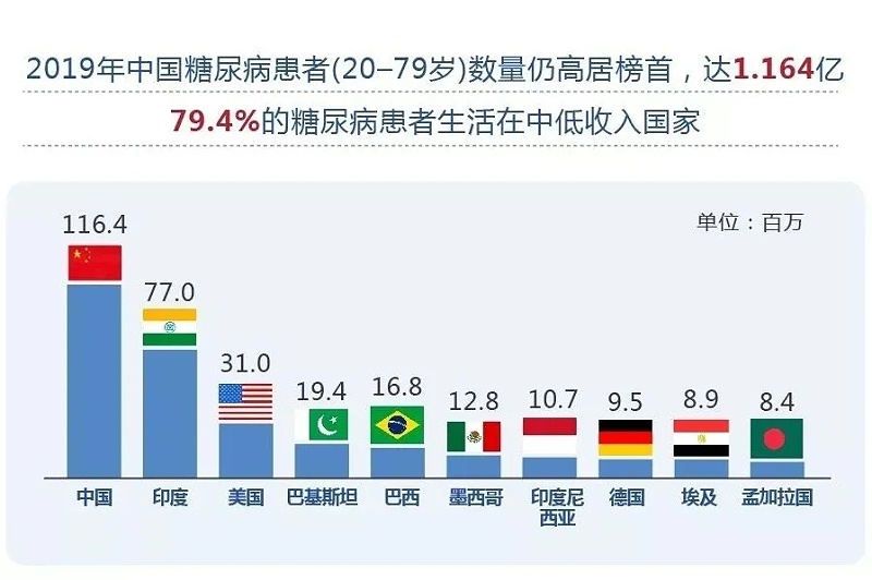 水蛭素、血糖、糖尿病