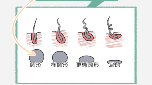 頭發(fā)軟VS頭發(fā)硬，到底哪個(gè)更好？答案讓人大吃一驚！