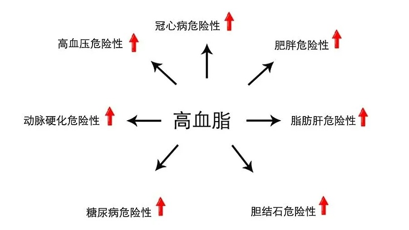 水蛭素、血脂高、血脂異常