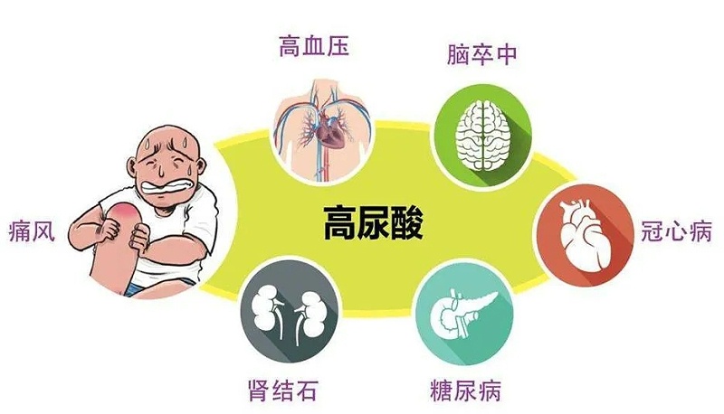 水蛭素、高尿酸、痛風