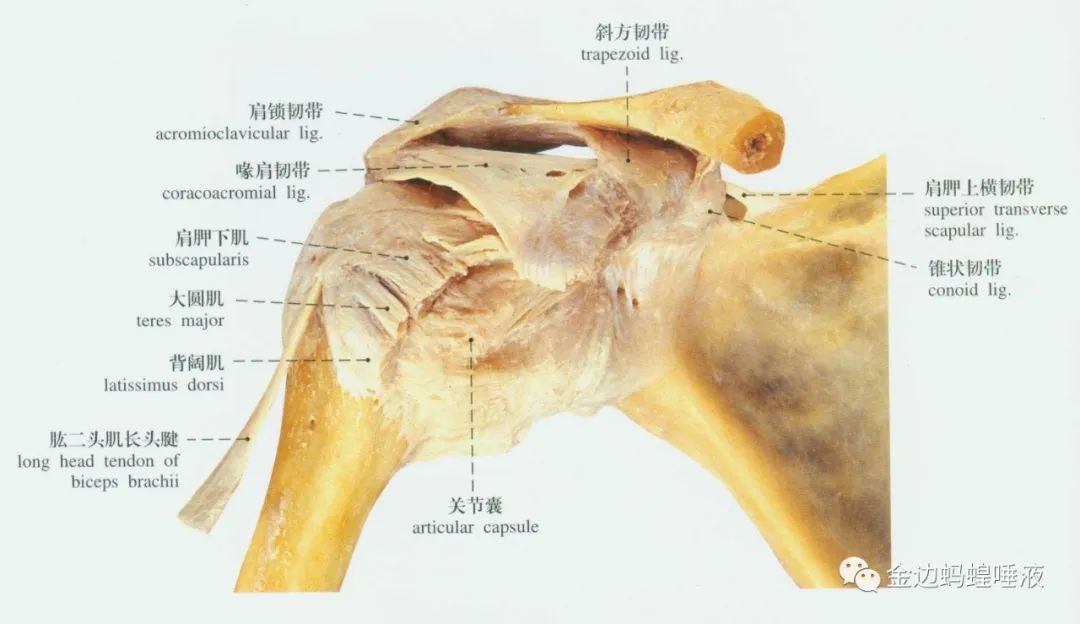 真實(shí)案例 | 腕關(guān)節(jié)囊積液，發(fā)炎腫脹，疼痛難忍，真就對它沒辦法嗎？